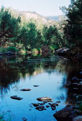 carnarvon creek