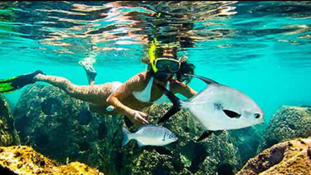 snorkel with fish